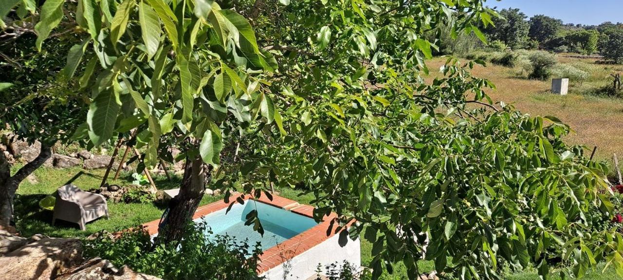 Casa de Férias Casa Da Vizinha, Quinta Memórias *